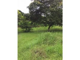  Land for sale in Nueva Gorgona, Chame, Nueva Gorgona