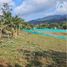  Land for sale in La Cumbre, Valle Del Cauca, La Cumbre