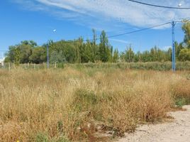  Terreno (Parcela) en venta en Rio Negro, General Roca, Rio Negro