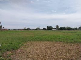  Land for sale in Florencio Varela, Buenos Aires, Florencio Varela