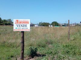  Terreno (Parcela) en venta en Brandsen, Buenos Aires, Brandsen