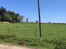  Land for sale in Colon, Entre Rios, Colon