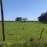  Land for sale in Colon, Entre Rios, Colon