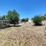  Land for sale in Punilla, Cordoba, Punilla