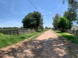  Land for sale in Navarro, Buenos Aires, Navarro