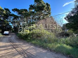  Land for sale in Villa Gesell, Buenos Aires, Villa Gesell