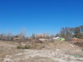  Terreno (Parcela) en venta en Rio Negro, General Roca, Rio Negro