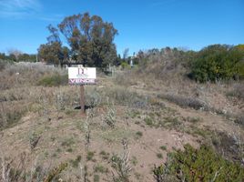  Terreno (Parcela) en venta en Monte Hermoso, Buenos Aires, Monte Hermoso