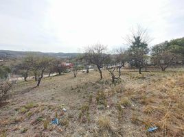  Land for sale in Punilla, Cordoba, Punilla