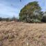  Land for sale in Punilla, Cordoba, Punilla