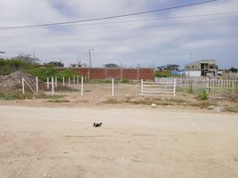  Land for sale in Salinas, Santa Elena, Salinas, Salinas