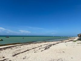  Grundstück zu verkaufen in Chicxulub Pueblo, Yucatan, Chicxulub Pueblo
