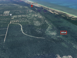  Terreno (Parcela) en venta en Telchac Puerto, Yucatán, Telchac Puerto