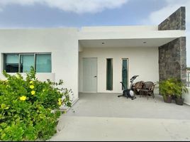 1 Habitación Apartamento en alquiler en Merida, Yucatán, Merida