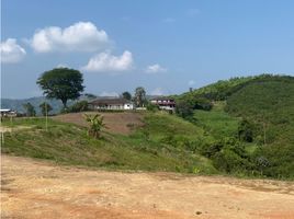  Land for sale in Manizales, Caldas, Manizales