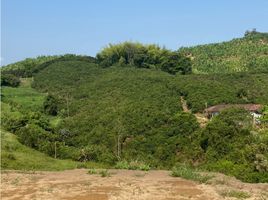  Terreno (Parcela) en venta en Manizales, Caldas, Manizales