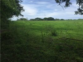  Terreno (Parcela) en venta en Guararé, Los Santos, Guararé, Guararé