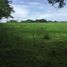  Land for sale in Guarare, Los Santos, Guarare, Guarare