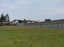  토지을(를) Atlatlahucan, 모렐 로스에서 판매합니다., Atlatlahucan