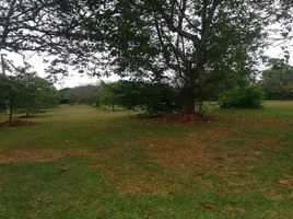  Land for sale in Pereira, Risaralda, Pereira, Risaralda