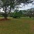  Land for sale in Pereira, Risaralda, Pereira, Risaralda