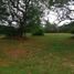  Land for sale in Pereira, Risaralda, Pereira, Risaralda