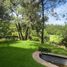3 Habitación Casa en venta en Morelia, Michoacán, Morelia, Michoacán