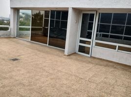 125 SqM Office for rent in Mexico, Alvaro Obregon, Mexico City, Mexico