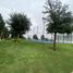 Maison 3 chambre à vendre à Monterrey, Nuevo Leon, Monterrey