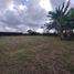  Land for sale in Pereira, Risaralda, Pereira