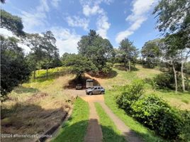  Land for sale in Valle Del Cauca, Jamundi, Valle Del Cauca