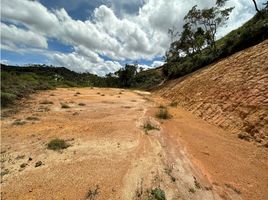  Grundstück zu verkaufen in San Vicente, Antioquia, San Vicente