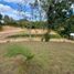  Land for sale in Colombia, Huila, Colombia