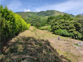  Terreno (Parcela) en venta en Manizales, Caldas, Manizales