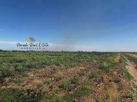  Terreno (Parcela) en venta en Mexicali, Baja California, Mexicali