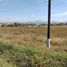 Terrain à vendre à Tequisquiapan, Queretaro, Tequisquiapan
