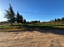  Terrain for sale in Uruguay, Entre Rios, Uruguay