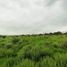 在墨西哥出售的 土地, San Juan Del Rio, Queretaro, 墨西哥
