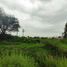 在墨西哥出售的 土地, San Juan Del Rio, Queretaro, 墨西哥