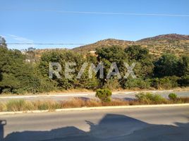  Terrain for rent in Ensenada, Baja California, Ensenada