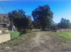  Land for sale in Quillota, Valparaiso, Quillota, Quillota