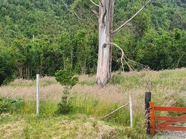  Terreno (Parcela) en venta en Puerto Montt, Llanquihue, Puerto Montt