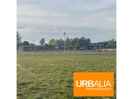  Terreno (Parcela) en venta en Frutillar, Llanquihue, Frutillar