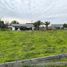  Terreno (Parcela) en venta en Buin, Maipo, Buin