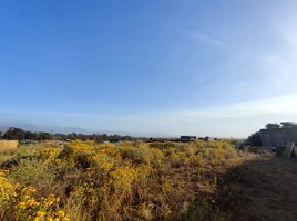  Land for sale in Valparaiso, Puchuncavi, Valparaiso, Valparaiso