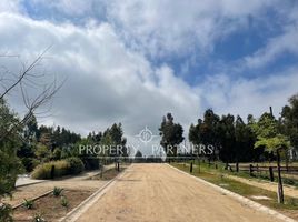  Land for sale in Valparaiso, Puchuncavi, Valparaiso, Valparaiso