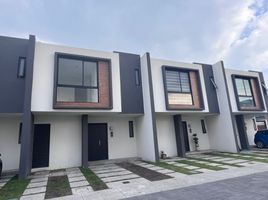 3 Schlafzimmer Haus zu vermieten in Temoaya, Mexico, Temoaya
