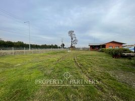  Land for rent in Museo Ferroviario, Temuco, Temuco