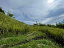  Land for sale in Dosquebradas, Risaralda, Dosquebradas