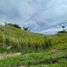  Land for sale in Dosquebradas, Risaralda, Dosquebradas